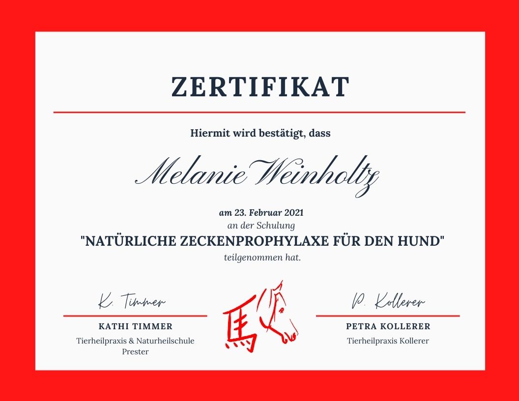 Zertifikat - Kollerer